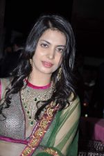 Anikita Shorey launches new collection of Gitanjali in Bandra, Mumbai on 23rd Nov 2012 (20).JPG